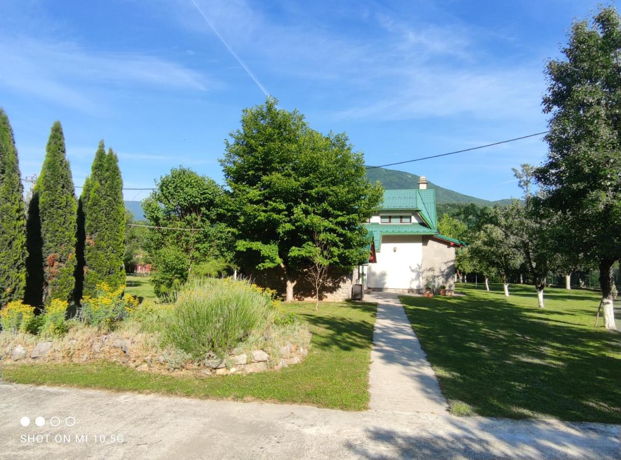 Mila Holiday Home Lohovo Екстер'єр фото